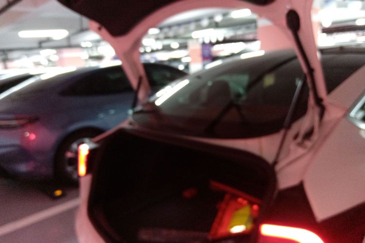 特斯拉 Model 3(进口) 2019款 长续航后驱版机舱底盘23