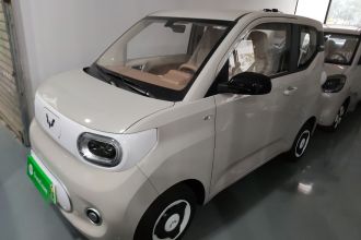 五菱汽车 宏光MINIEV 2024款 第三代 215km 青春版