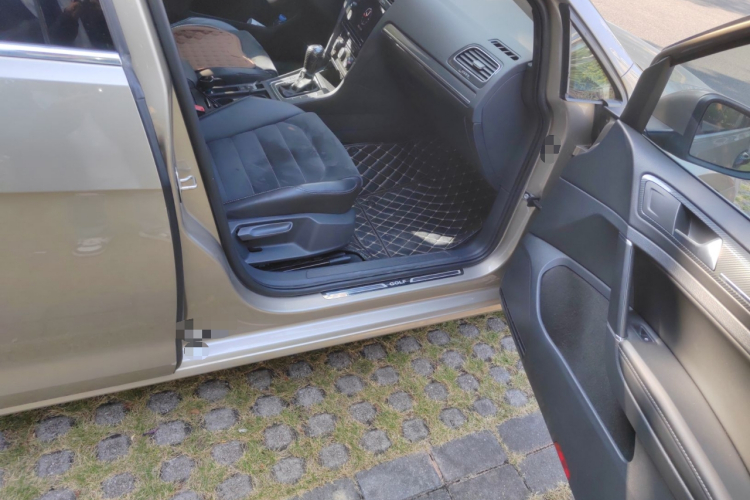 大众 高尔夫 2019款 280TSI DSG豪华型 国VI局部细节9005