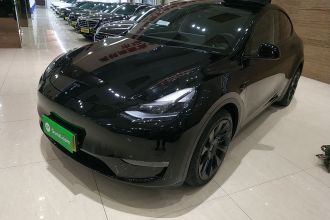 特斯拉 Model Y 2021款 标准续航后驱版