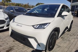 比亚迪 海鸥 2024款 荣耀版 305km 活力版