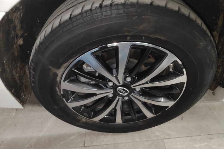 广汽传祺 传祺M8 2024款 领秀系列 390T 豪华版车身外观6008