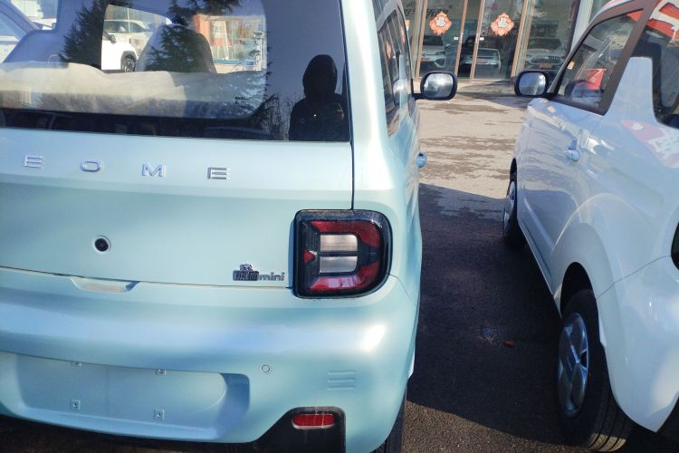 吉利银河 2024款 熊猫mini 200km 耐力熊车身外观9