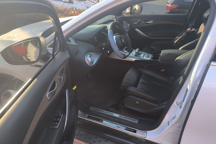 腾势X 2020款 PHEV旗舰版中控内饰20