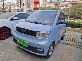 五菱汽车 宏光MINIEV 2020款 自在款 磷酸铁锂