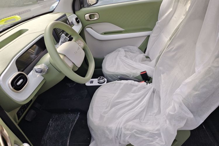 吉利银河 2025款 210km 熊猫骑士中控内饰19