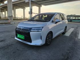 五菱汽车 星光730新能源 2025款 插混 125km 豪华型