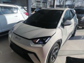 比亚迪 海鸥 2023款 自由版