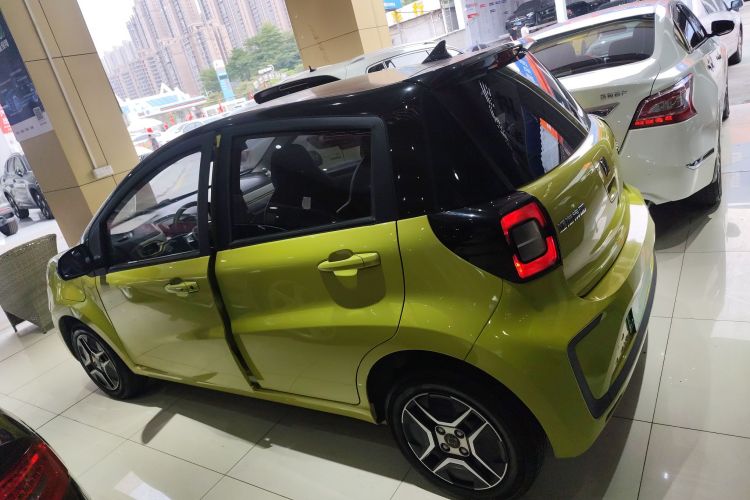 思皓 2022款 花仙子款 四叶草车身外观4