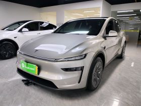 特斯拉 Model Y L 2025款 长续航全轮驱动版