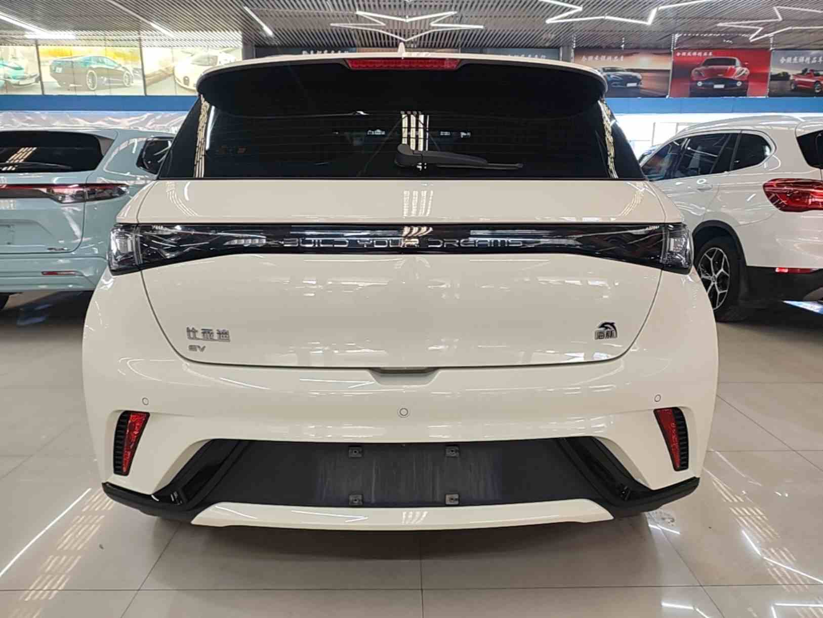 比亚迪 海豚 2023款 420km 自由版(3)