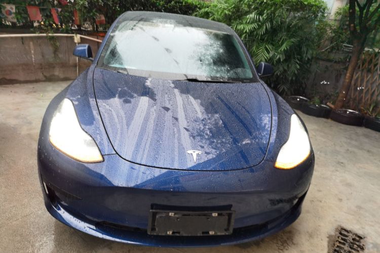 特斯拉 Model 3 2019款 标准续航后驱升级版车身外观2