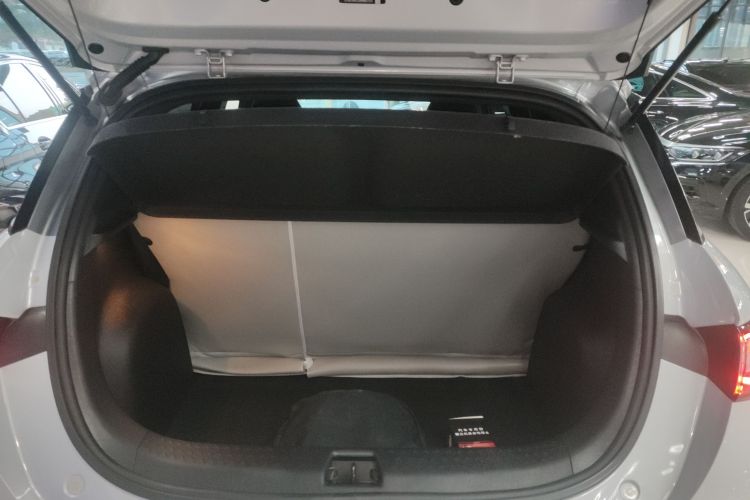 比亚迪 海豚 2021款 405km 时尚版机舱底盘23