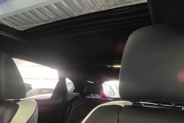 雷克萨斯RX 2021款 300 四驱F SPORT局部细节22