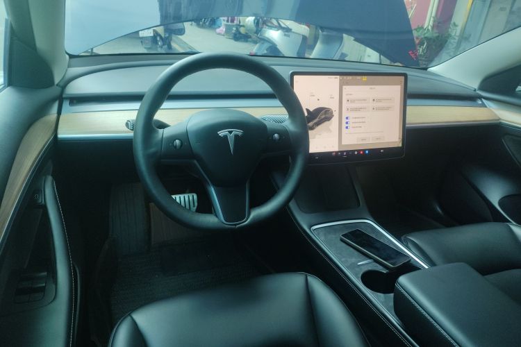 特斯拉 Model 3 2021款 改款二 Performance高性能全轮驱动版中控内饰12