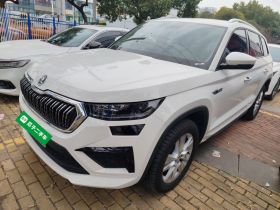 斯柯达 柯迪亚克 2024款 TSI330 5座两驱实力版