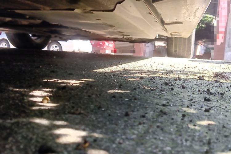 马自达3 昂克赛拉 2020款 1.5L 自动质悦天窗版局部细节9002