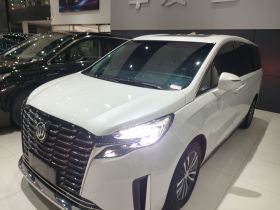 别克GL8 2023款 ES陆尊 舒适型