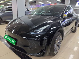 特斯拉 Model Y 2023款 后轮驱动版