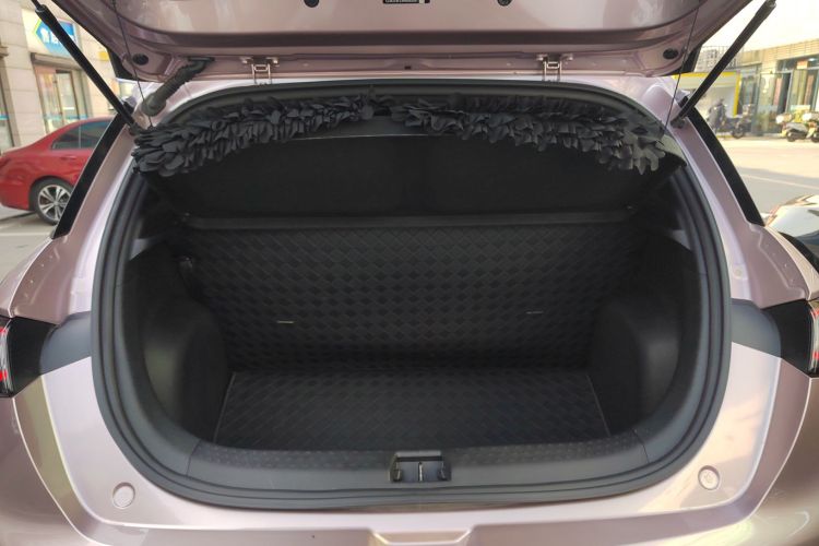 比亚迪 海豚 2021款 405km 自由版机舱底盘23