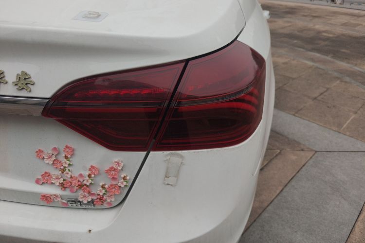 吉利汽车 帝豪 2020款 1.5L CVT豪华型车身外观9