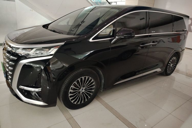 腾势D9 2024款 DM-i 980 四驱尊荣型车身外观4