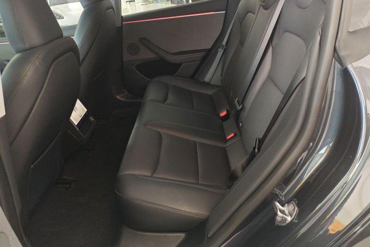 特斯拉 Model 3 2023款 后轮驱动版中控内饰21