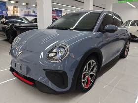 欧拉好猫GT 2024款 木兰版 401km 豪华型