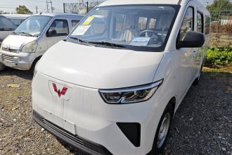 五菱汽车 五菱扬光 2024款 300KM 舒适型客车版 75kW