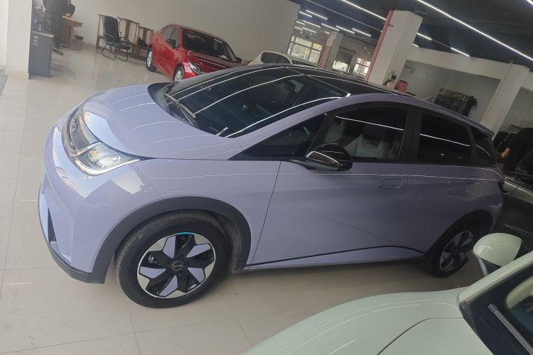 比亚迪 海豚 2024款 荣耀版 420km 时尚版车身外观6001