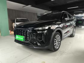 捷途X70 C-DM 2024款 远航版PRO 5座