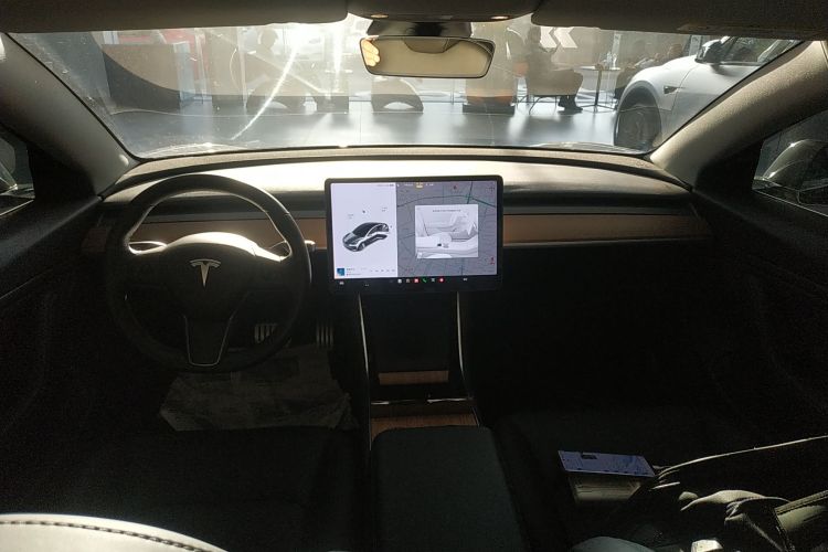 特斯拉 Model 3(进口) 2019款 Performance高性能全轮驱动版中控内饰12
