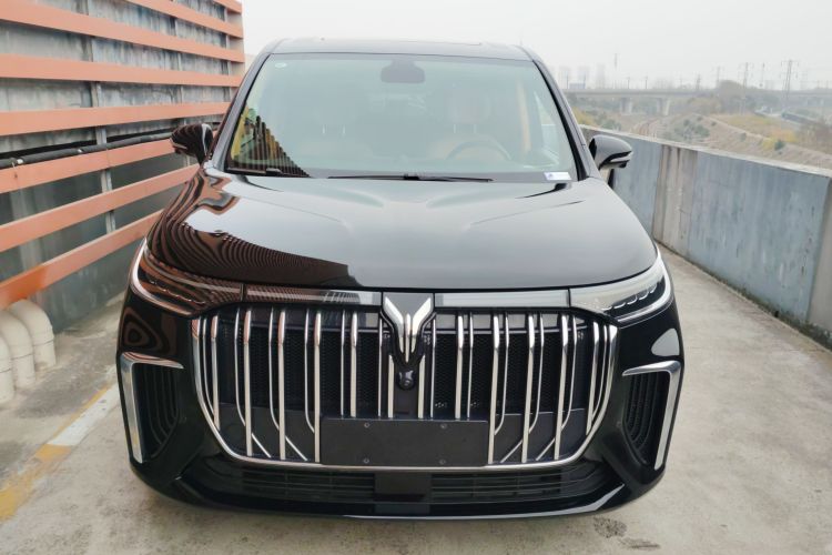 岚图汽车 岚图梦想家 2024款 PHEV 超长续航卓越版车身外观6001