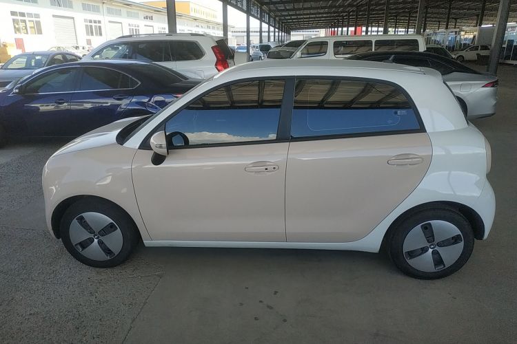 欧拉黑猫 2022款 301km 基础型 三元锂车身外观4