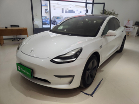 特斯拉 Model 3 2020款 长续航后轮驱动版