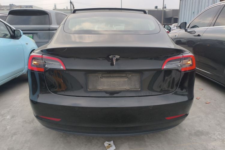 特斯拉 Model 3(进口) 2019款 长续航后驱版车身外观6