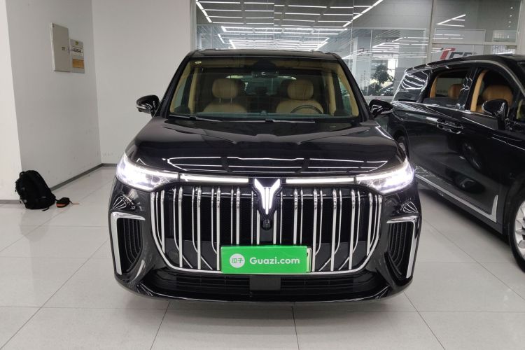 岚图汽车 岚图梦想家 2024款 PHEV 超长续航卓越版车身外观2