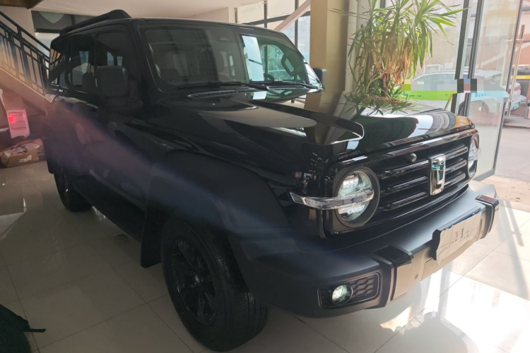 坦克300 2024款 2.0T 挑战者车身外观3