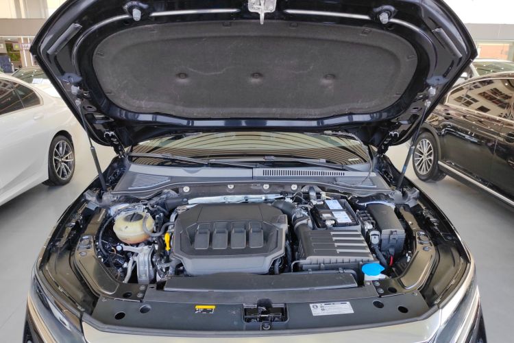 大众 帕萨特 2022款 330TSI 星空豪华版机舱底盘24