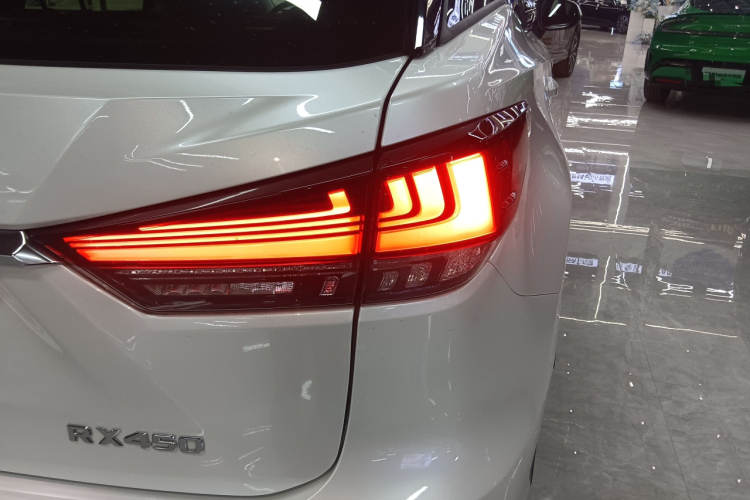 雷克萨斯RX 2020款 改款 300 两驱舒适版车身外观9