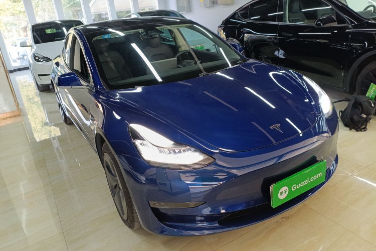 特斯拉 Model 3(进口) 2019款 长续航全轮驱动版车身外观6002