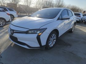 别克 微蓝6 2023款 改款 430km 出行版