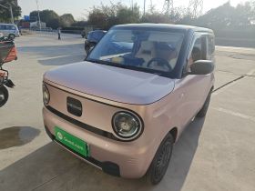 吉利银河 2023款 熊猫mini 200km 耐力熊