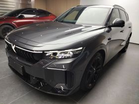 岚图汽车 岚图FREE 2025款 318 318km 后驱环游版