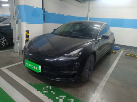 特斯拉 Model 3 2022款 后轮驱动版