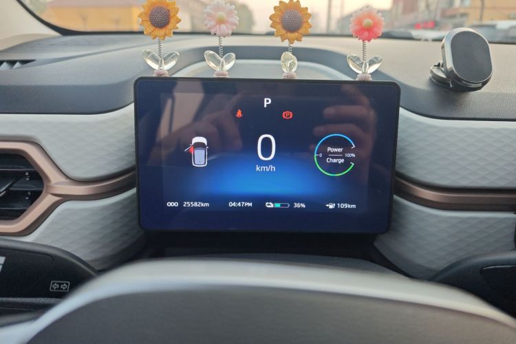 思皓 2022款 花仙子款 四叶草局部细节14