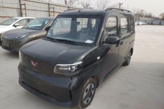 五菱汽车 五菱之光新能源 2025款 305km 进取型