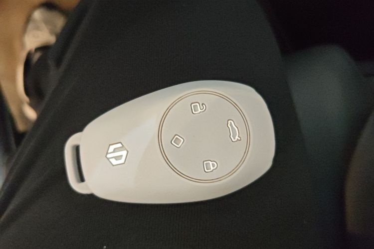 零跑汽车 零跑C11 2021款 改款 豪华版中控内饰7001