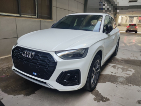 奥迪Q5L 2024款 40 TFSI 豪华动感型