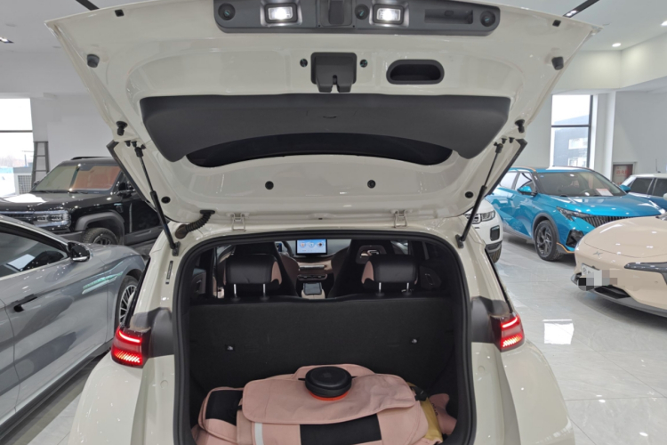 比亚迪 海鸥 2024款 荣耀版 305km 活力版机舱底盘23